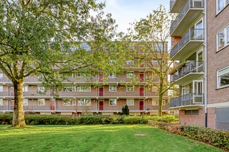 Maassingel 48