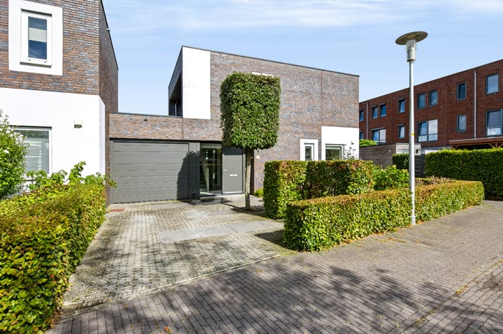Citroenvlinder 15