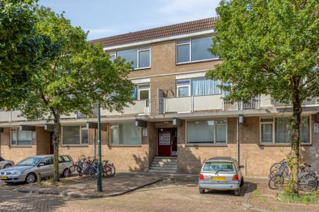Esdoornstraat 91