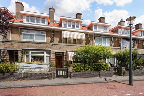 Ananasstraat 113