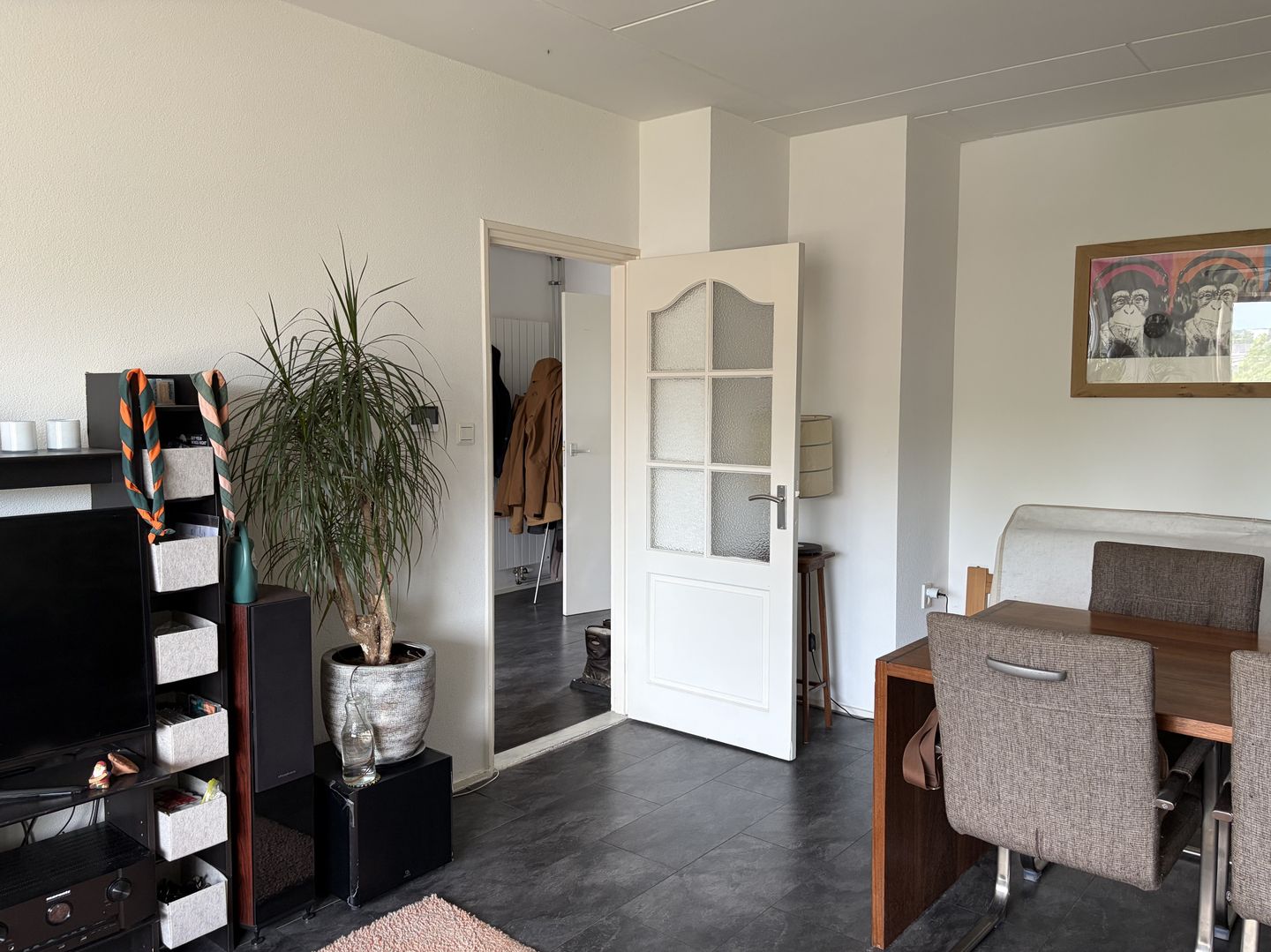 Molenstraat 313