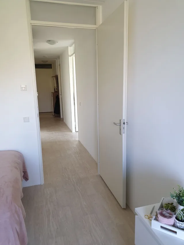 Wijnesteinlaan