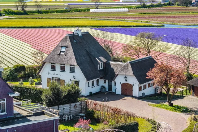 Van den Endelaan 41