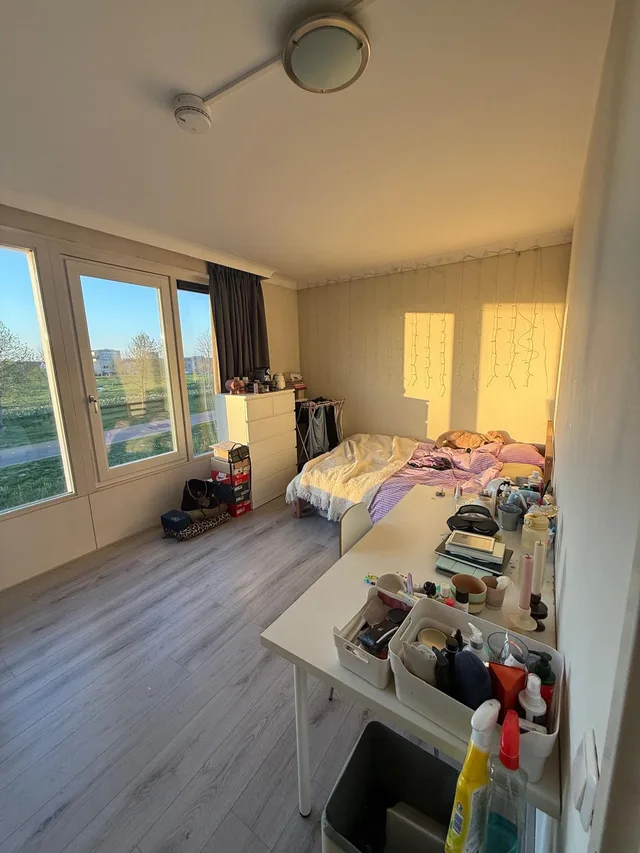 Beneluxlaan