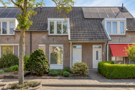 Duizendblad 5 5684 HM Best