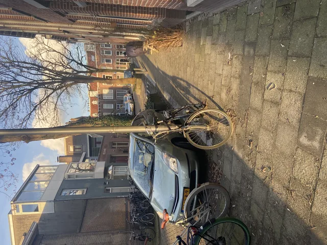 Steijnstraat