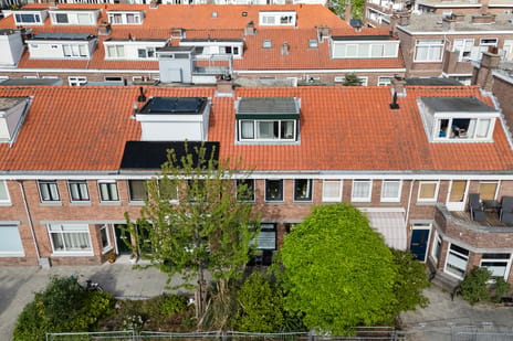 Rodenbachstraat 88