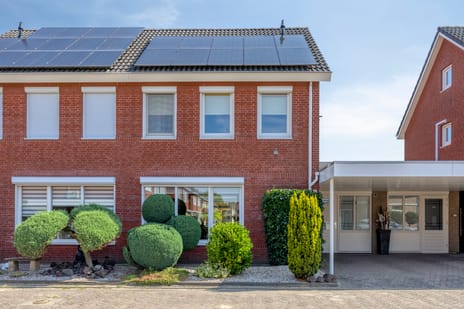Wasbloem 7