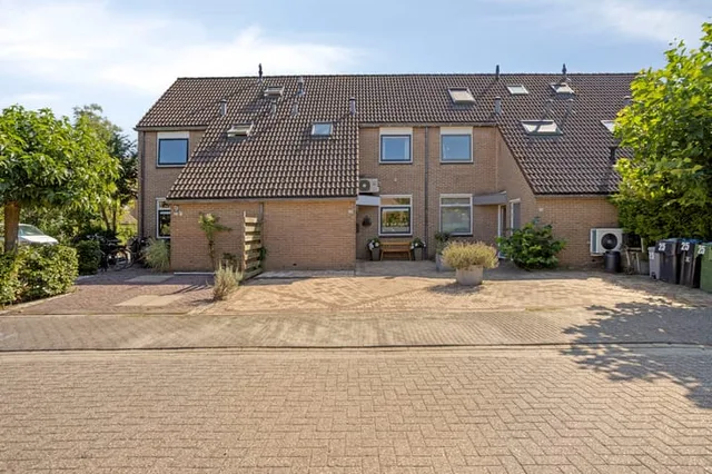 Pinksterbloem 26