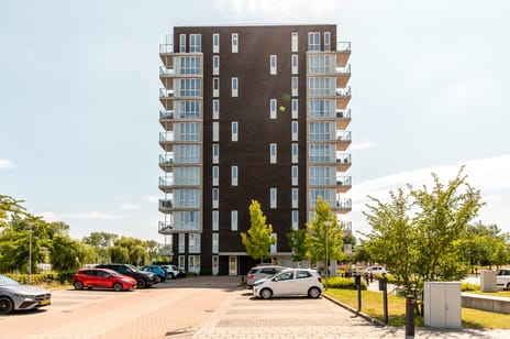 Ambonstraat 170