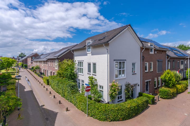 Fruittelerserf 41