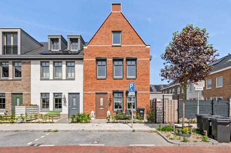 De Mook 41