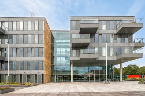 Grenenhout 8-312