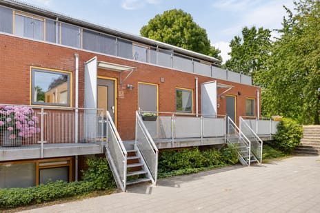 Hanedoorn 4