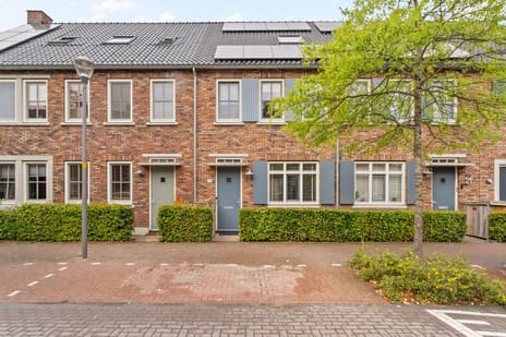 Leonard Springerstraat 23