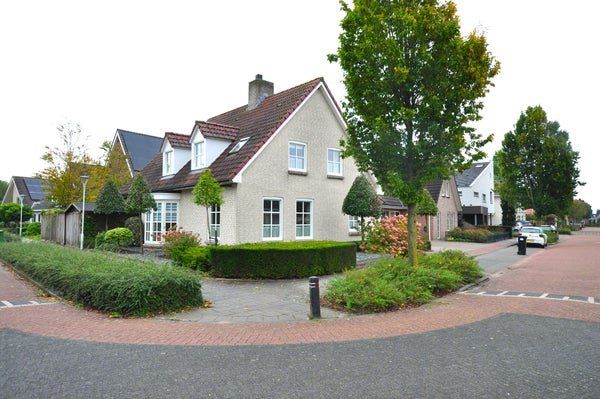 Dorsvelden