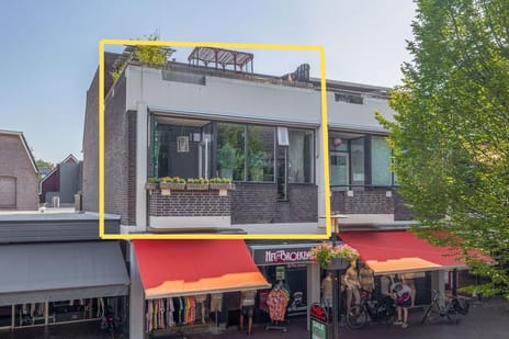 de Brink 41
