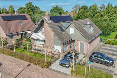 Korenbloem 10