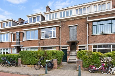 Goudreinetstraat 119