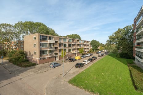 Dalenoord 105