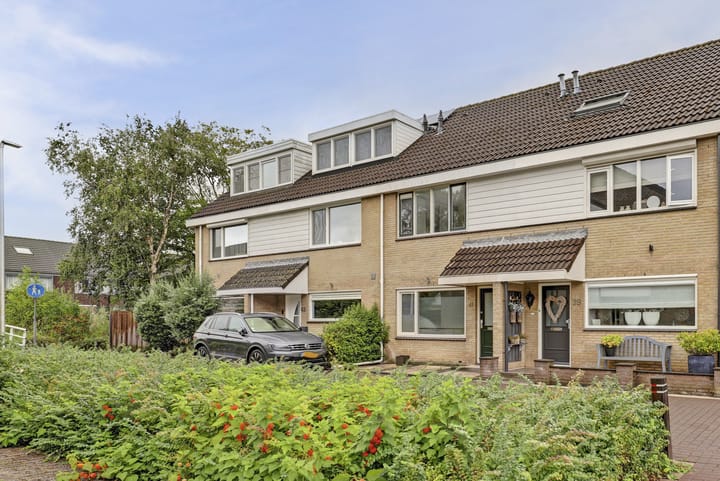 Papaverveld 41