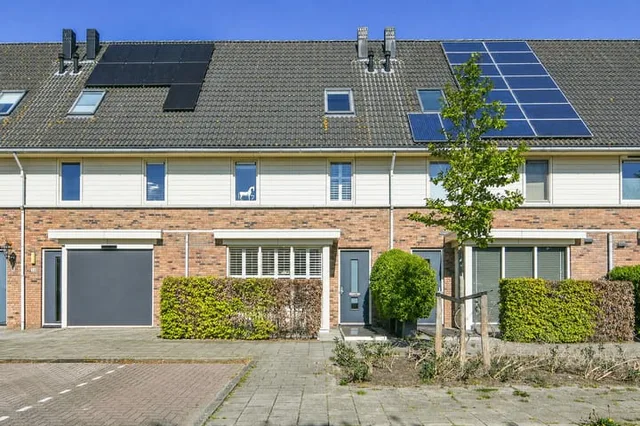 Wittenburg 31