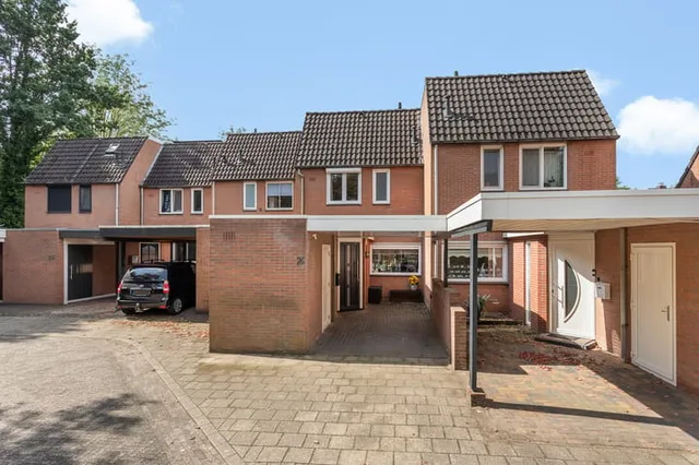Zilverschoon 24