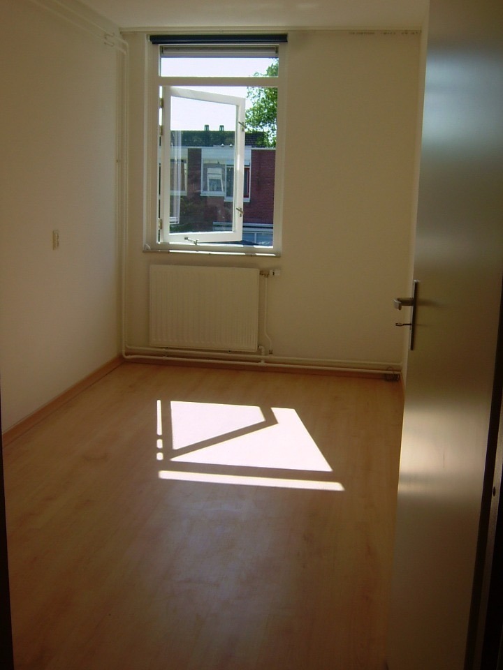 Rietzangerstraat
