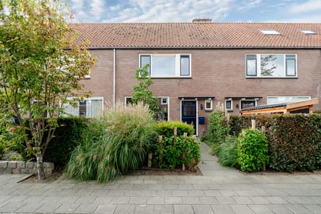 Potgieterstraat 53