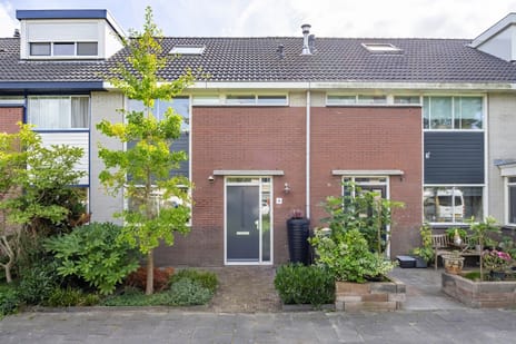 De Waterdief 81