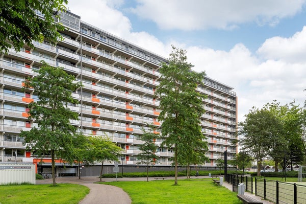 Bachplein