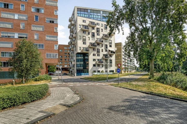 Berkenplein