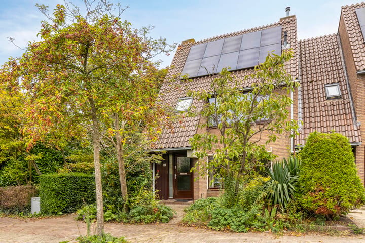 Droogbloem 1