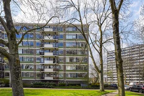 Haverkamp 405
