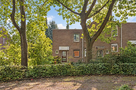 P. Petersstraat 56