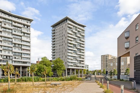 Fijnjekade 241