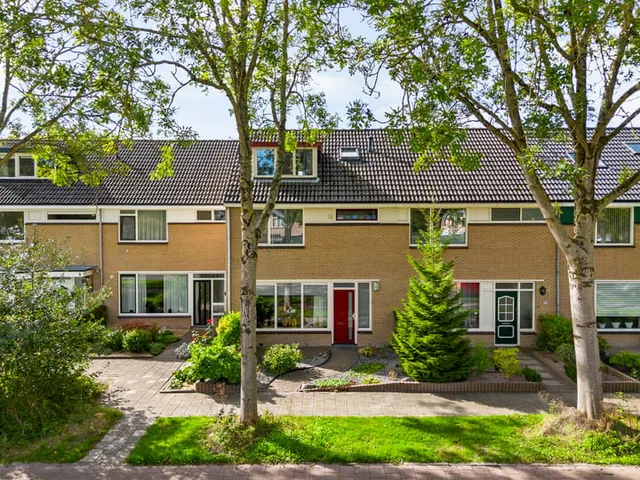 Saffier 7
