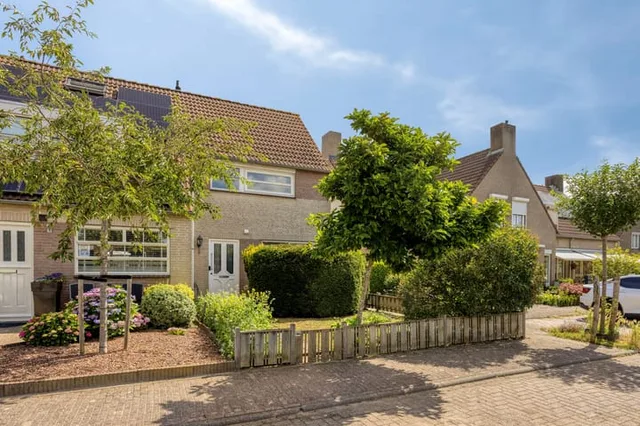 Roerdomp 67