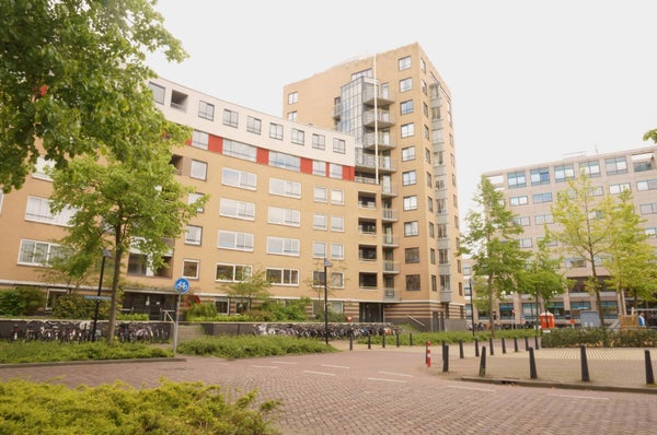 Henriëtte Roland Holststraat 116
