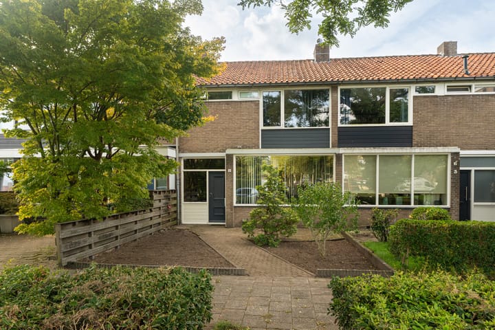 Voorvang 4