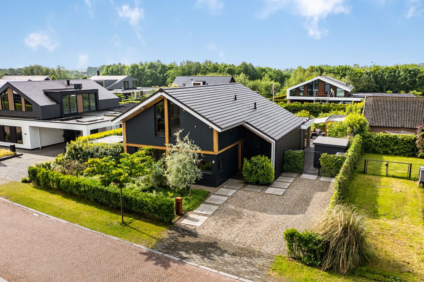 Groene Grens 6