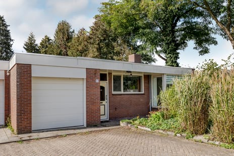 Bergschot 27