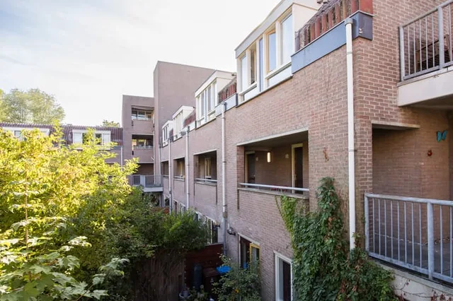 Reiderland 36