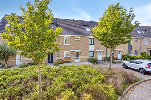 Torenmolen 105