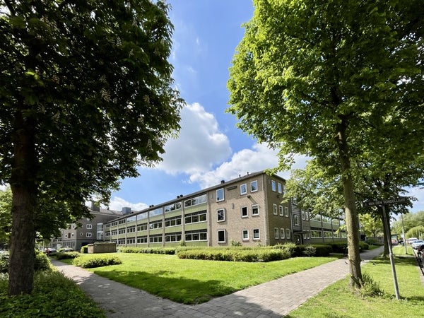 P.C. Hooftlaan