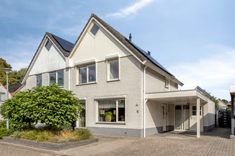 Grauwe Gans 8