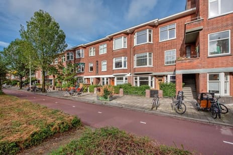 Mient 615