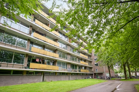 Troelstraweg 41