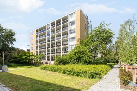 Rozenoord 91