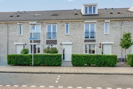 Dassenstraat 19